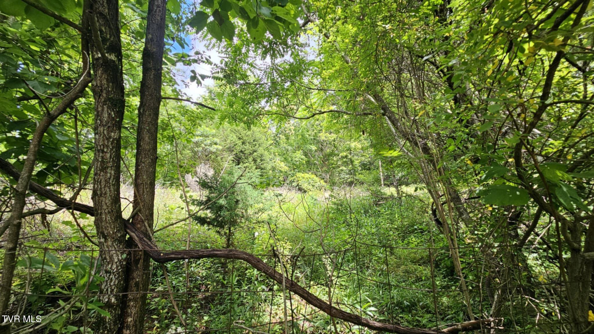 314 Observation Drive, Duffield, Virginia image 15