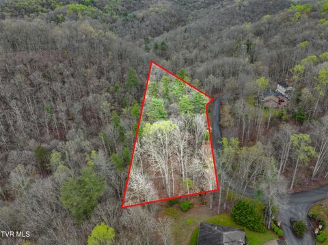Vacant Land For Sale - TBD Skyline Drive<br/> Bristol, TN 37620