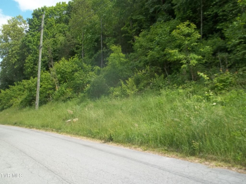 Photo of 425 Creekside Drive, Mount Carmel, TN 37645 (MLS # 9995184)