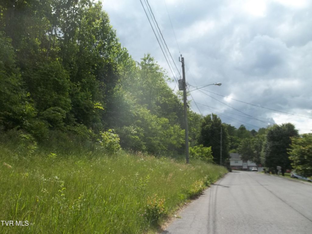 Photo of 425 Creekside Drive, Mount Carmel, TN 37645 (MLS # 9995184)