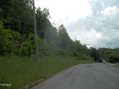 Photo of 425 Creekside Drive, Mount Carmel, TN 37645 (MLS # 9995184)
