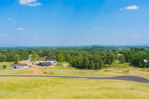 Vacant Land For Sale - LOT 3 Sunset Road<br/> Washington County County, Johnson City, TN 37615