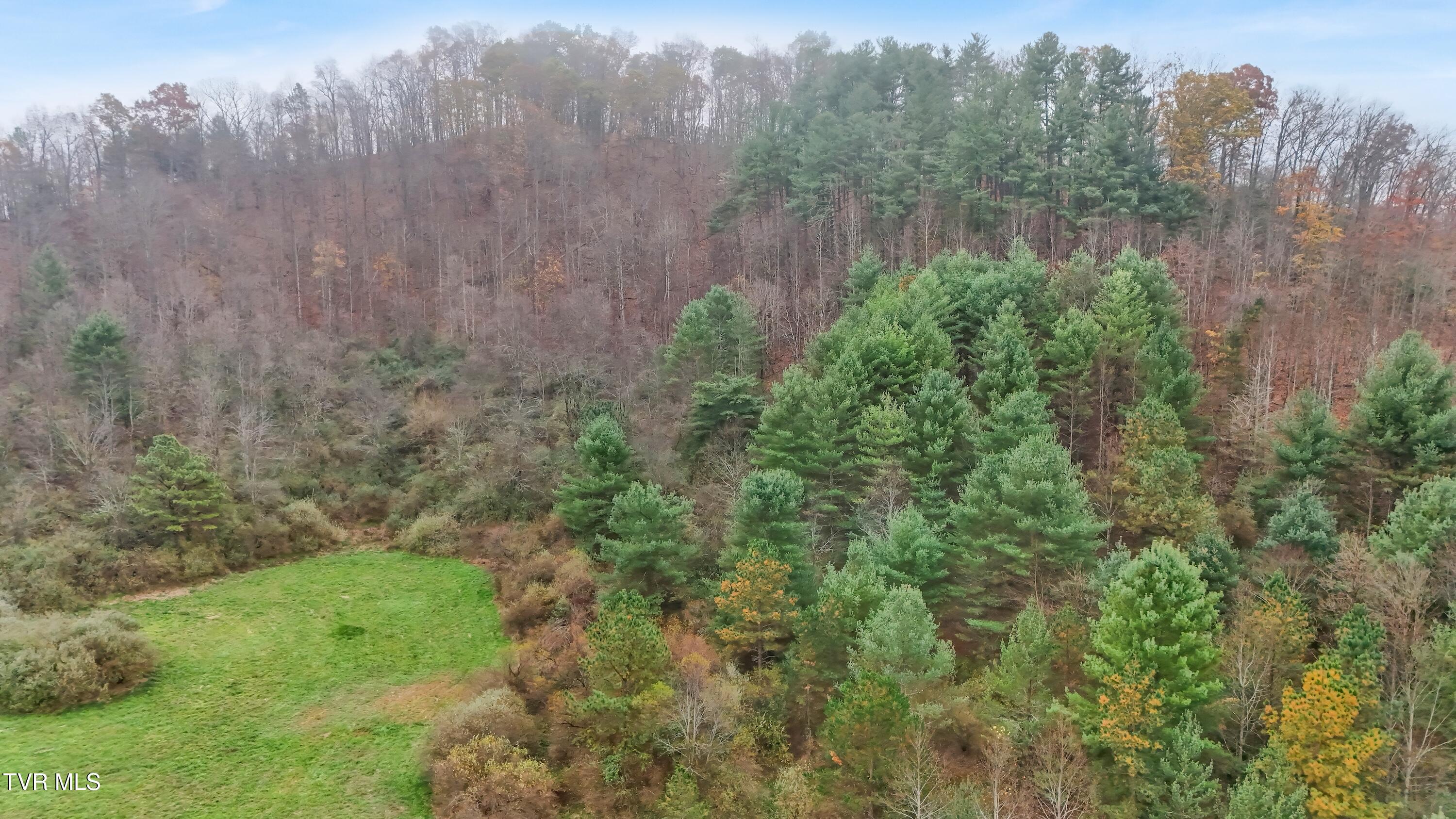 552 Jerrys Branch, Clintwood, Virginia image 29