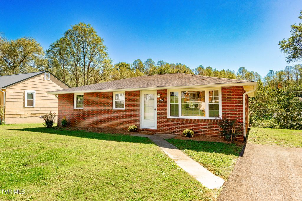 Photo of 244 Chapel Street, Weber City, VA 24290 (MLS # 9986915)