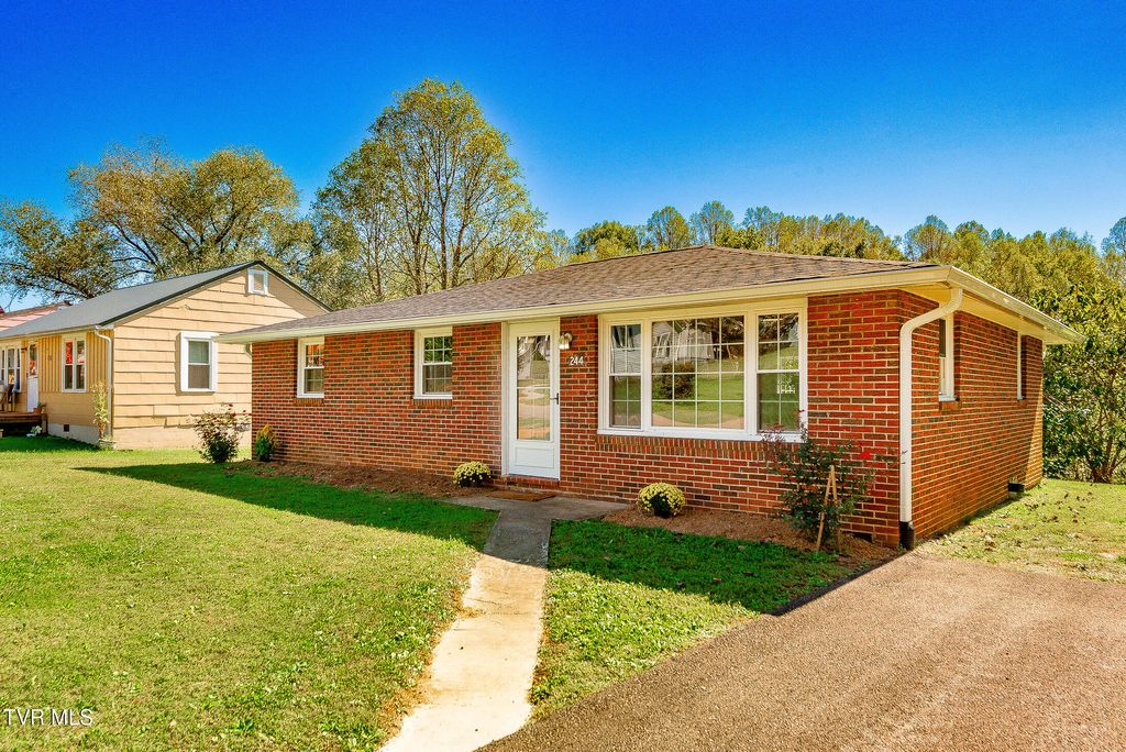 Photo of 244 Chapel Street, Weber City, VA 24290 (MLS # 9986915)