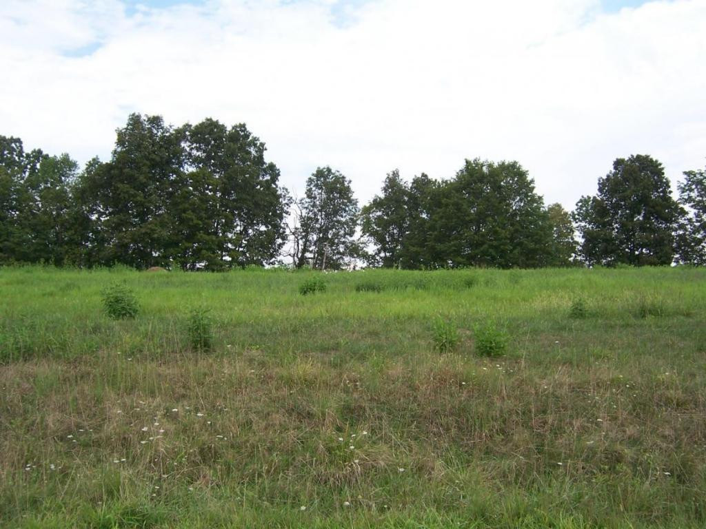 Lake Bend Court, Lot 33, Abingdon, Virginia image 1