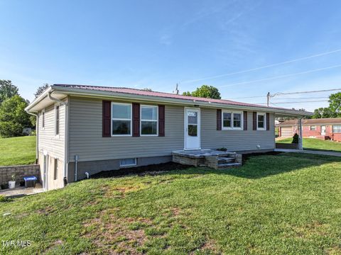 Photo of 12 Lorraine Street, Greeneville, TN 37743 (MLS # 9994640)
