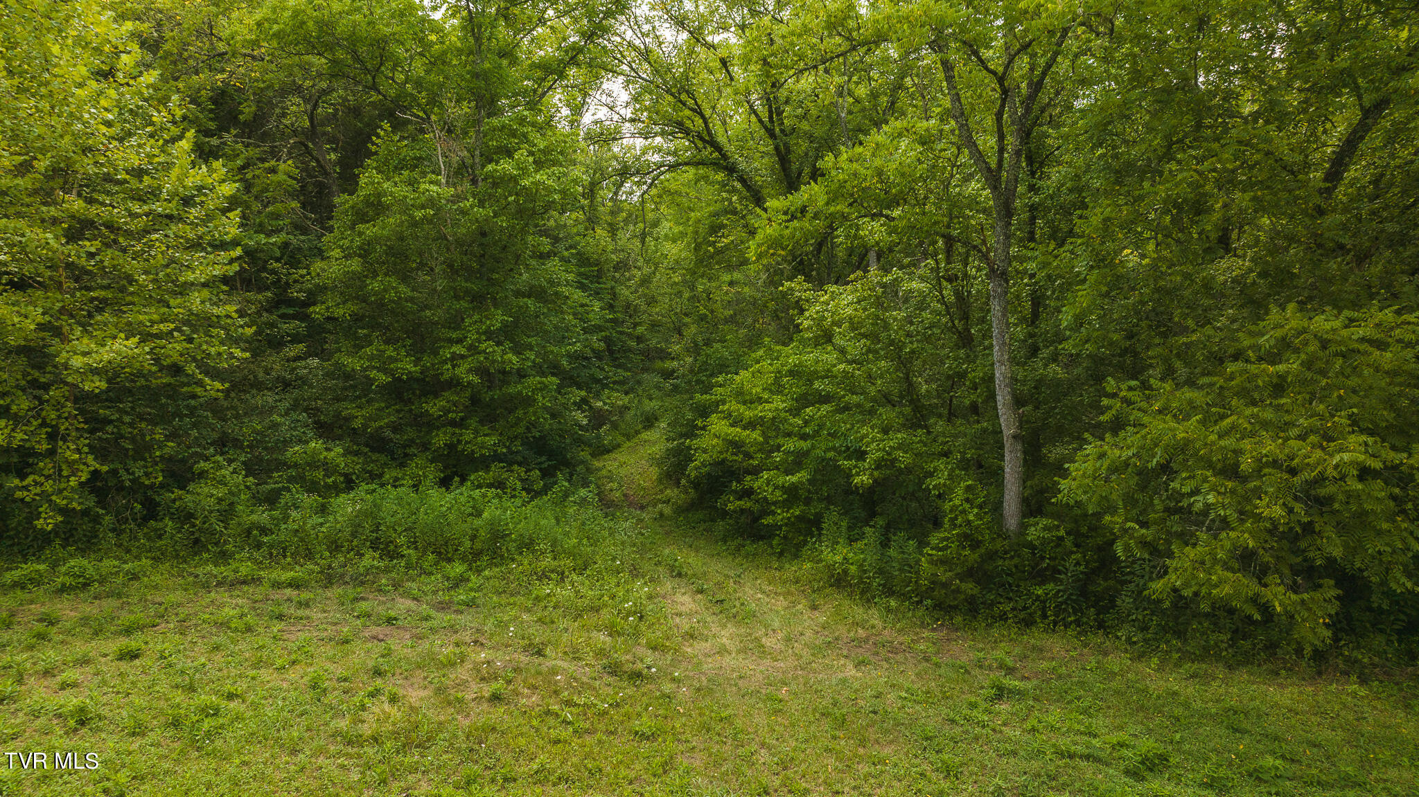 Lot 2 War Creek Road, Eidson, Tennessee image 2