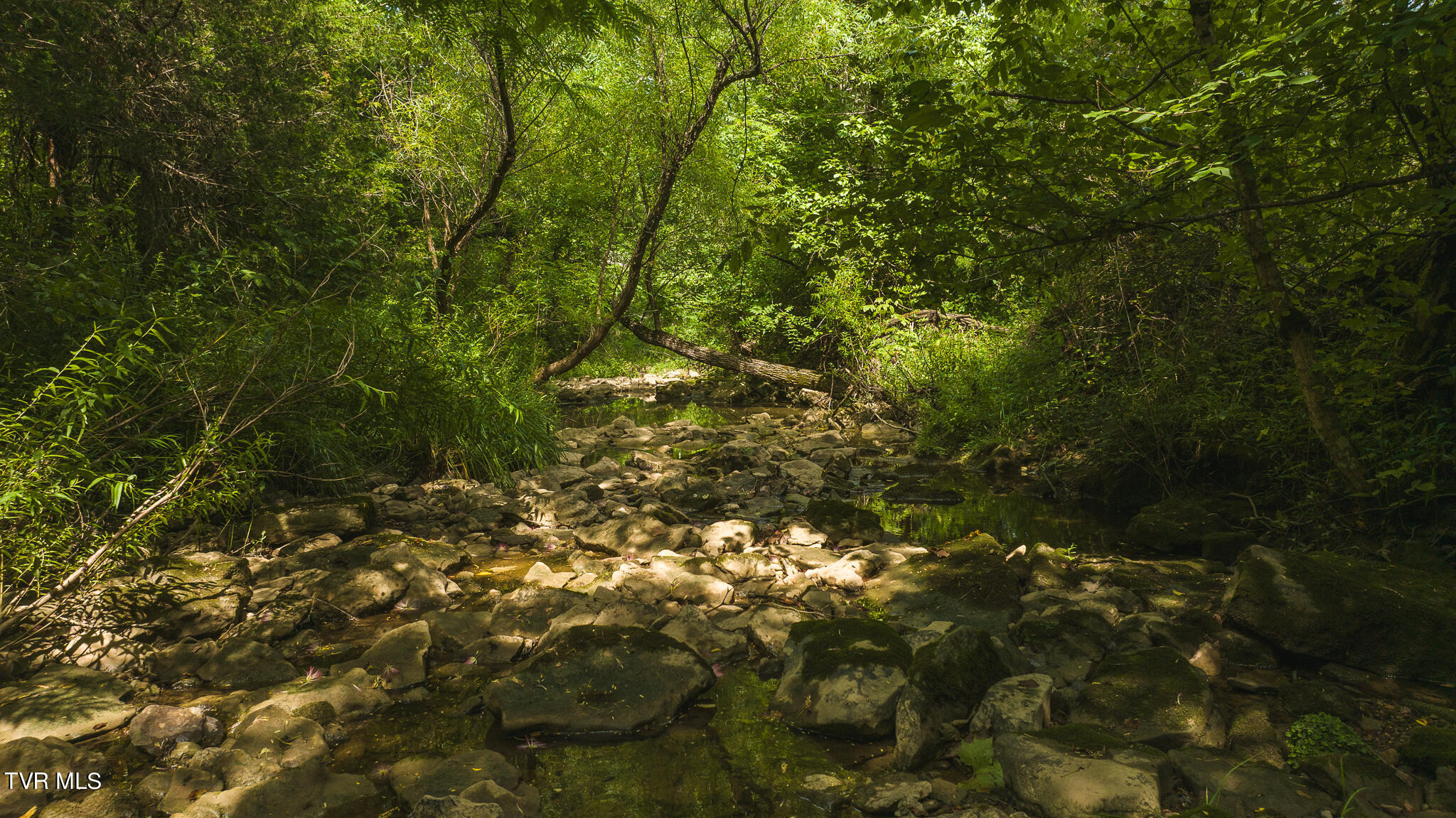Lot 2 War Creek Road, Eidson, Tennessee image 42