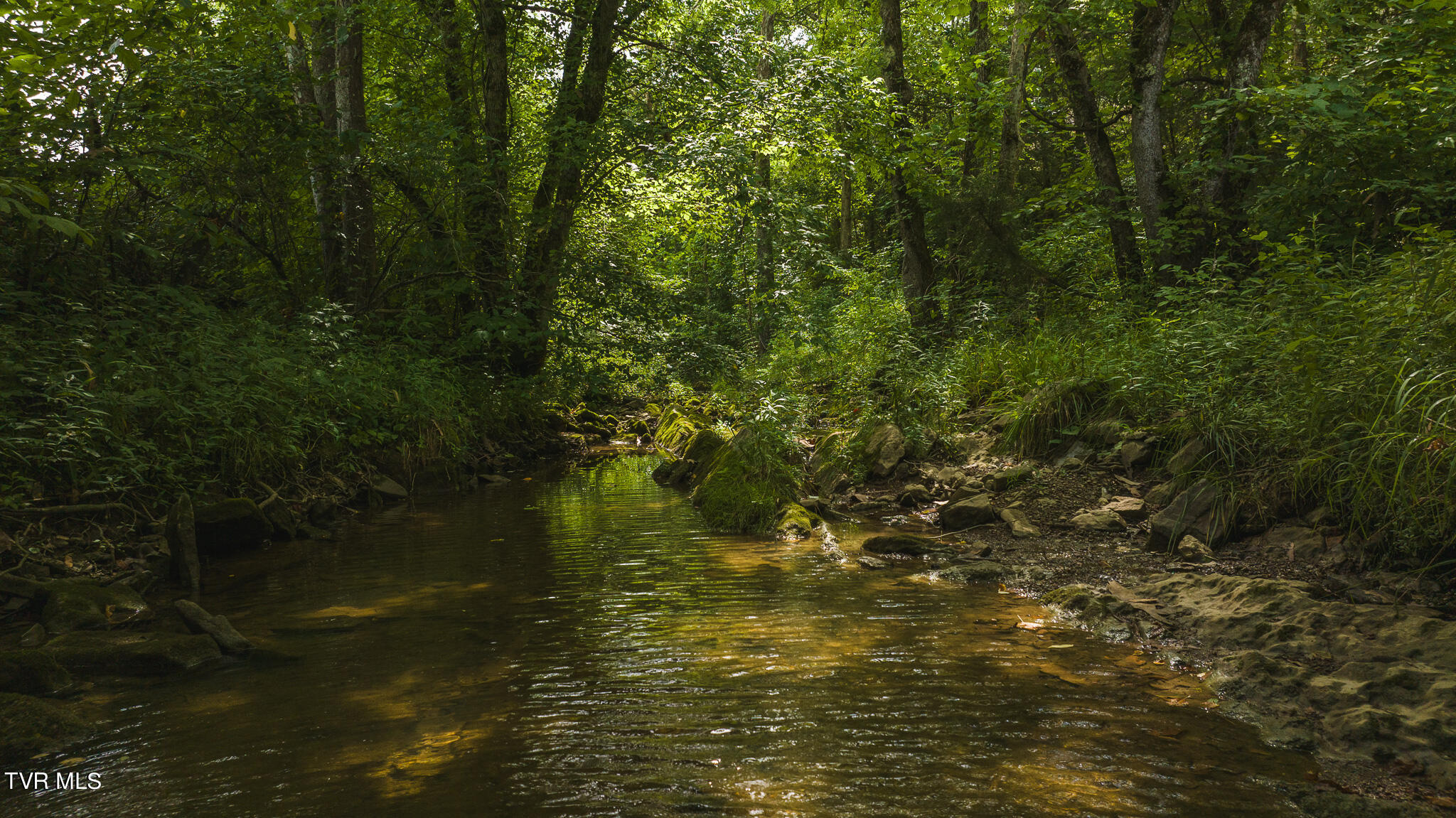 Lot 2 War Creek Road, Eidson, Tennessee image 44