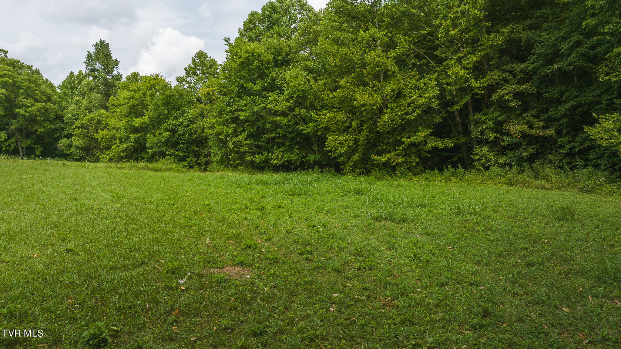 Lot 2 War Creek Road, Eidson, Tennessee image 15