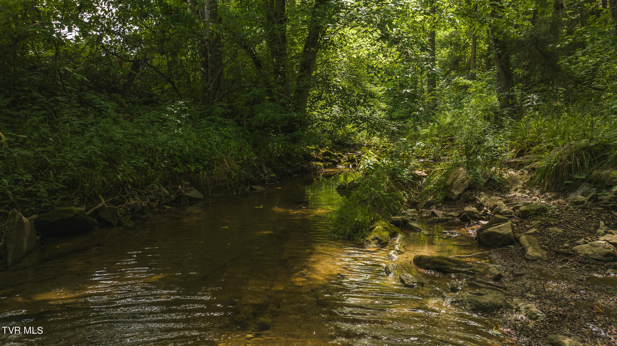 Lot 2 War Creek Road, Eidson, Tennessee image 45