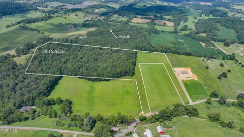 Vacant Land For Sale - 170 Mccall Road<br/> Limestone, TN 37681