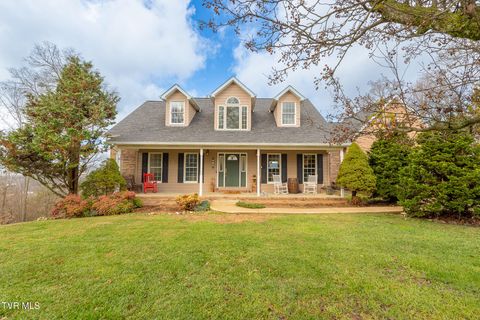 Photo of 512 Wood View Court, Kingsport, TN 37664 (MLS # 9989085)