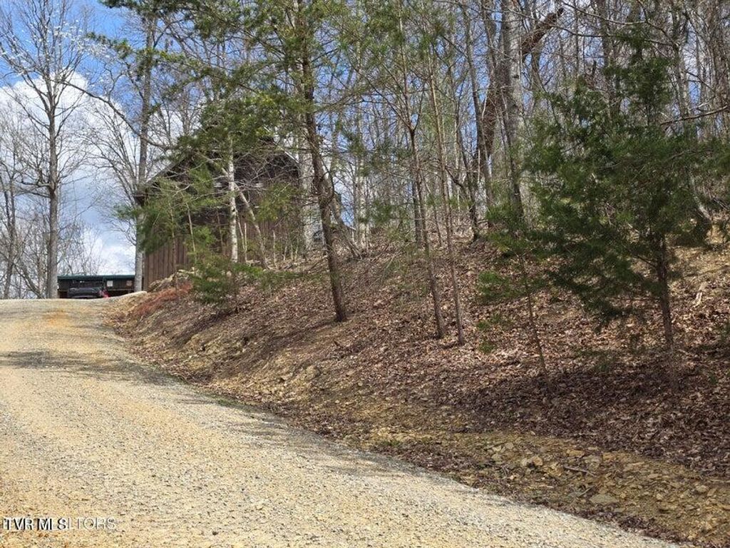 Photo of 5316 Tennessee 66, Sneedville, TN 37869 (MLS # 9993843)