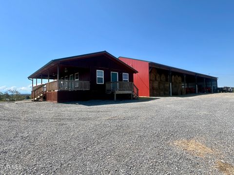 Homes For Sale - 1550 Mount Hope Road #2<br/> Mohawk, TN 37810