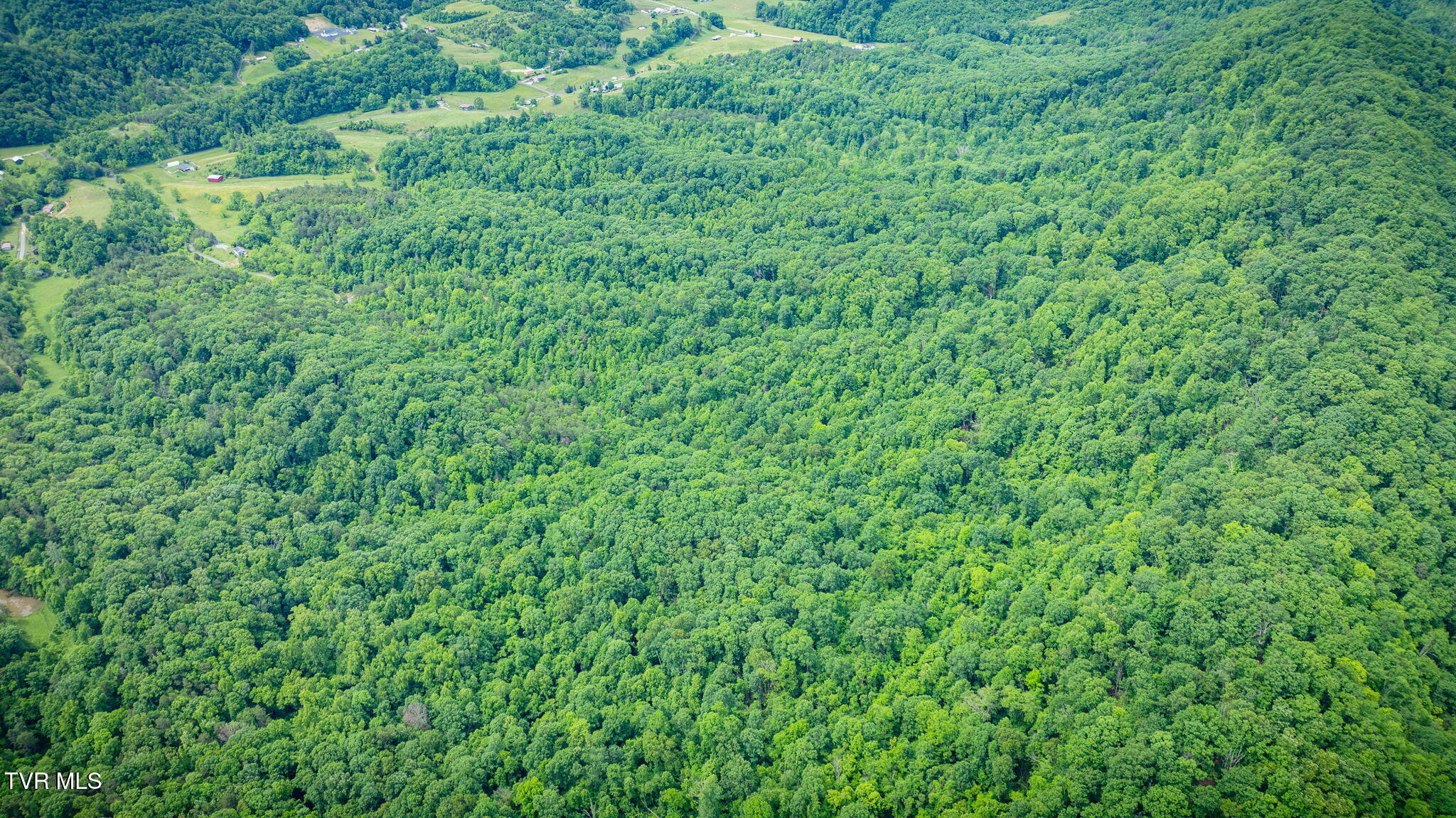 455 Okey Mowell Road, Kingsport, Tennessee image 38