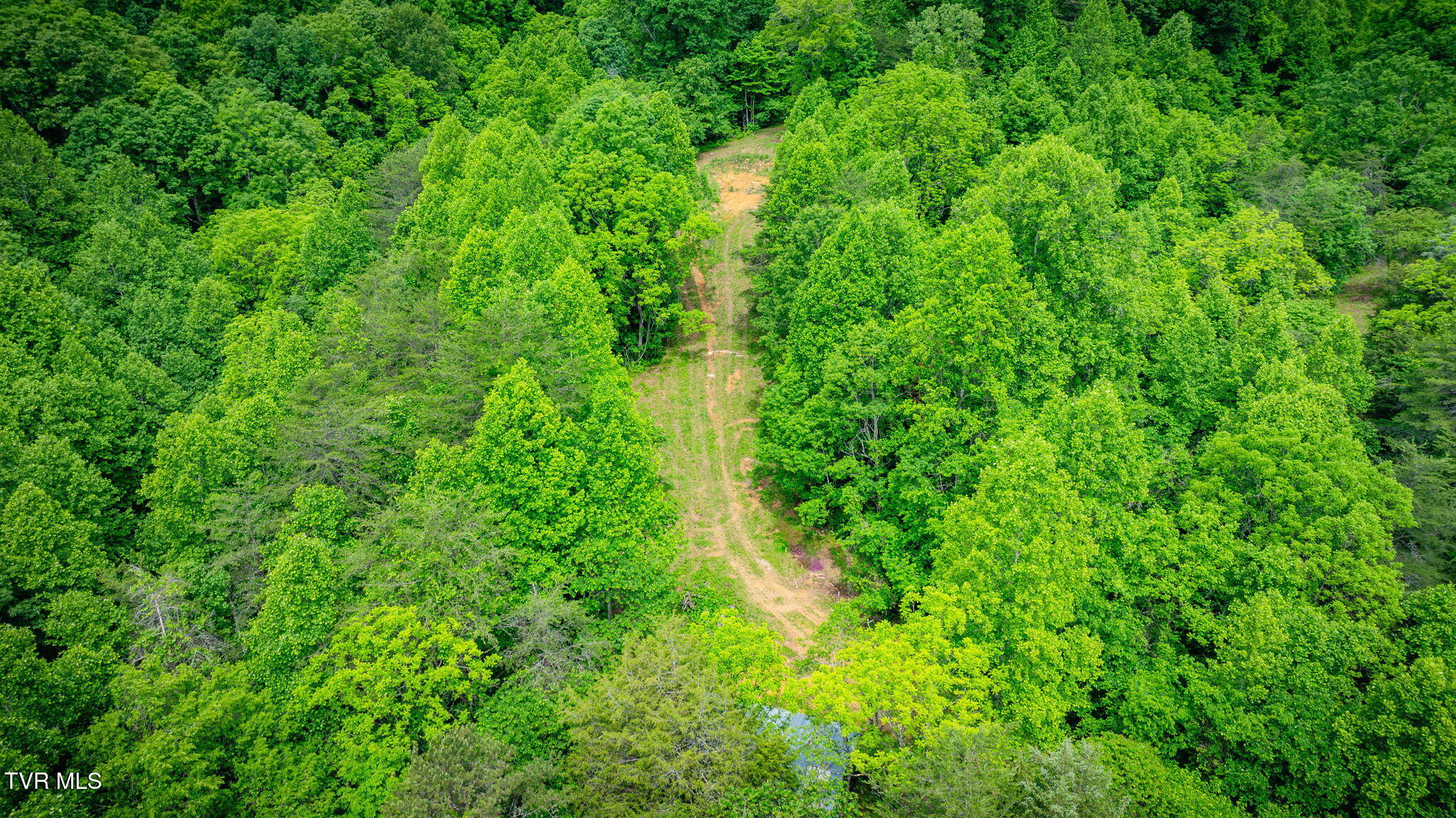 455 Okey Mowell Road, Kingsport, Tennessee image 42