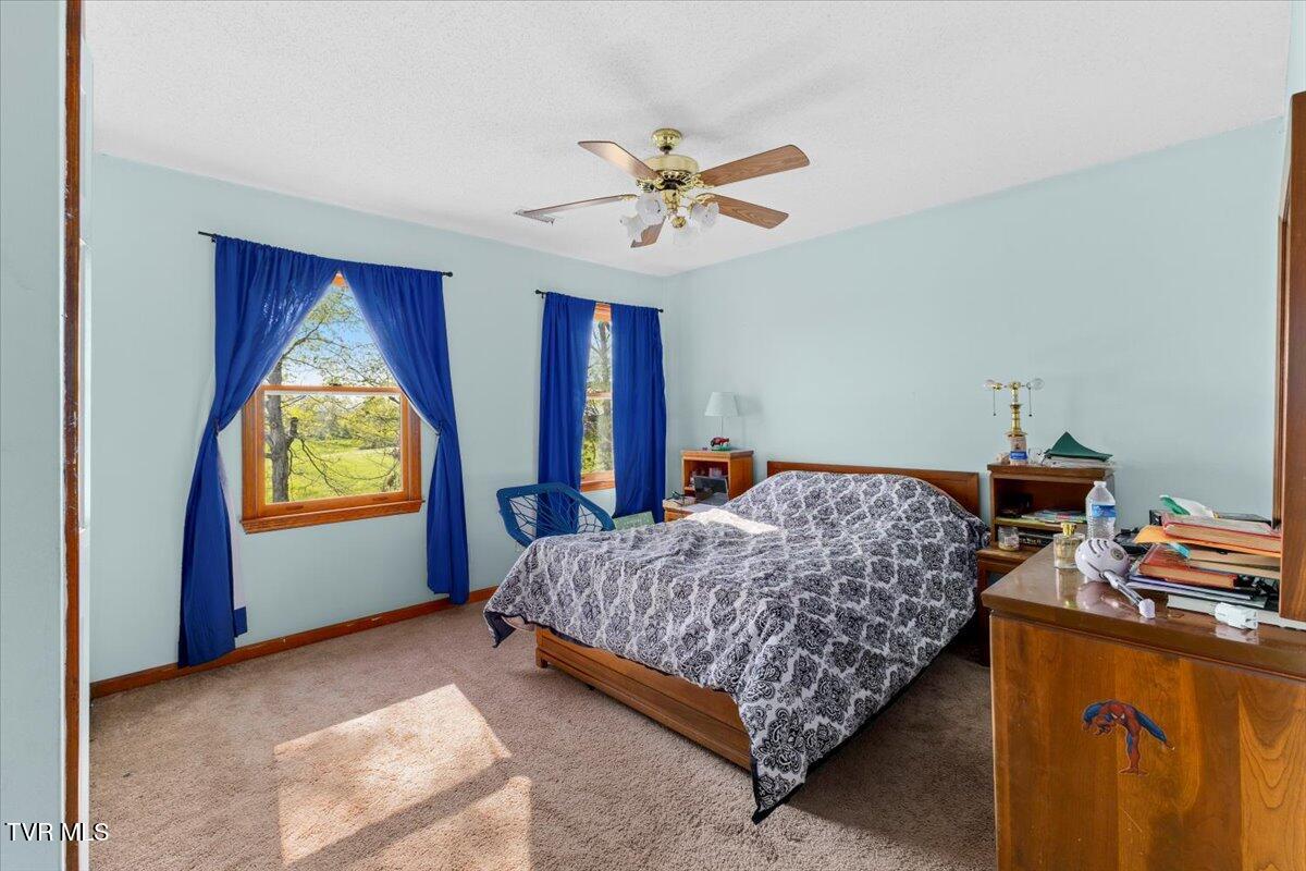 236 Colony Drive, Bristol, Tennessee image 31