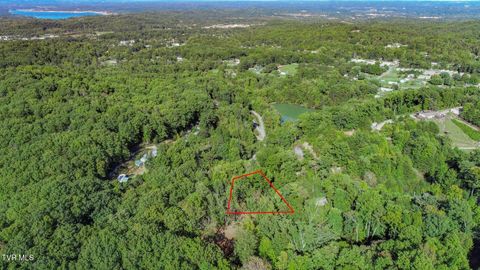 Vacant Land For Sale - 113 Huffman Way Way<br/> Newport, TN 37821