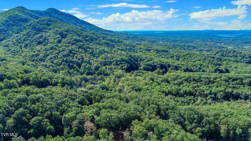 Photo of 113 Huffman Way Way, Newport, TN 37821 (MLS # 9986867)