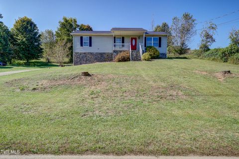 Photo of 185 Pates Lane, Greeneville, TN 37743 (MLS # 9986662)