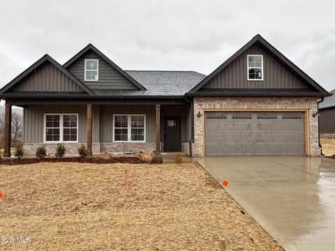 Photo of 1209 Brown Road, Erwin, TN 37650 (MLS # 9990581)