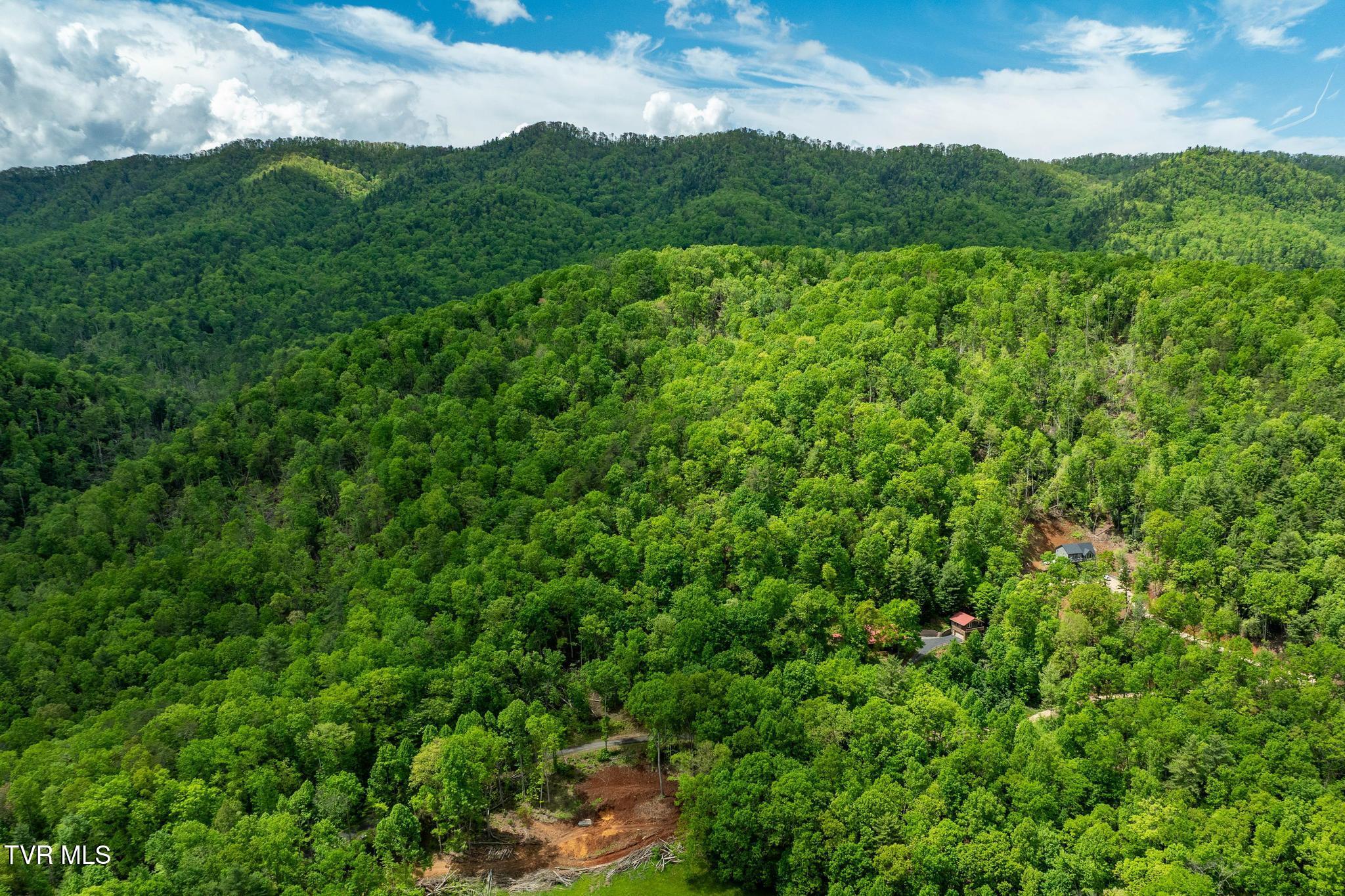 563 Longview Private Drive, Mountain City, Tennessee image 39