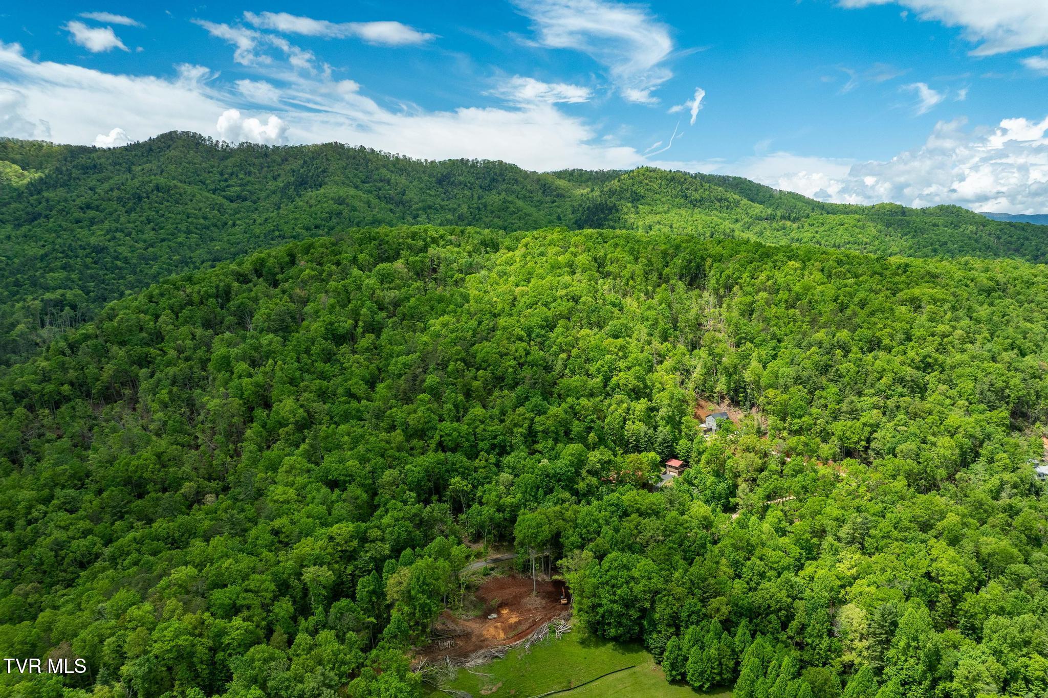 563 Longview Private Drive, Mountain City, Tennessee image 40