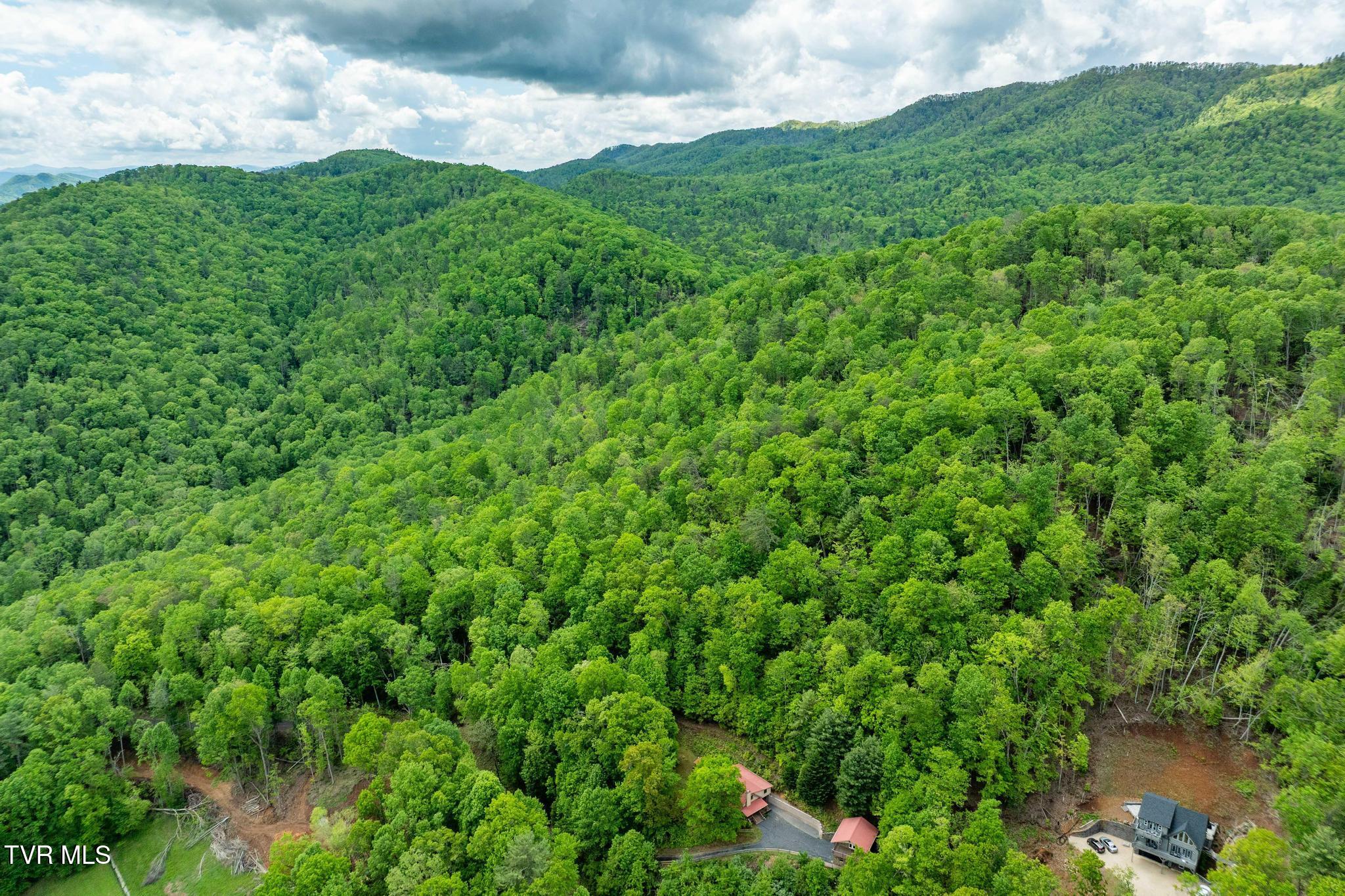 563 Longview Private Drive, Mountain City, Tennessee image 42