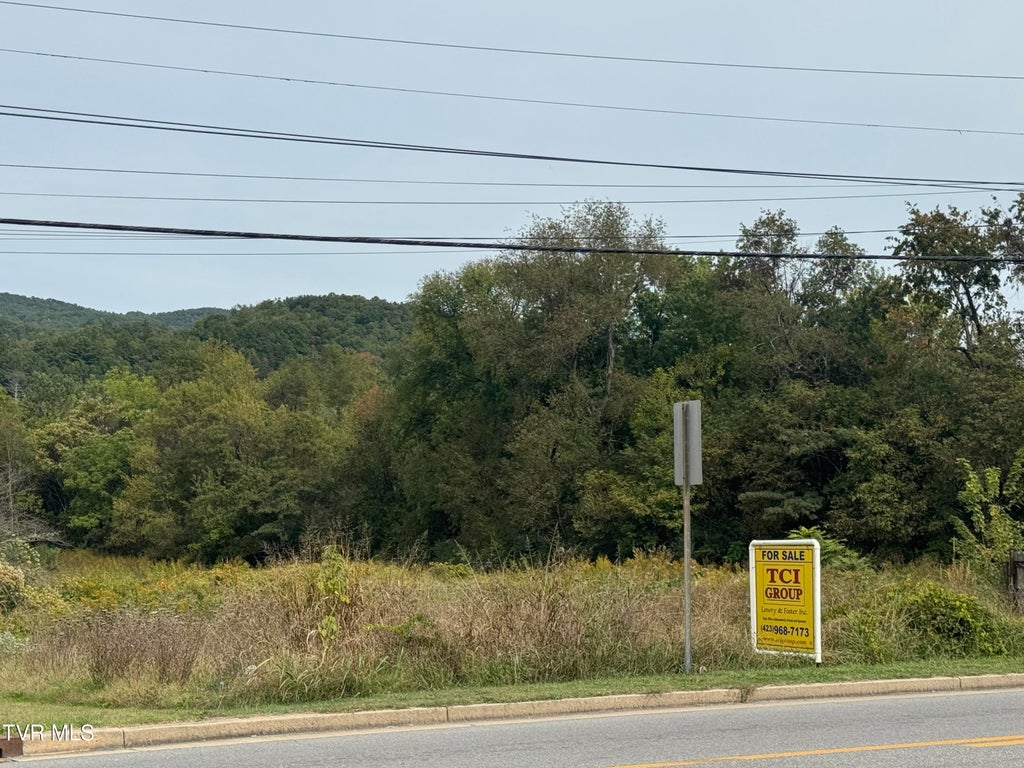Photo of Tbd Main North Avenue, Erwin, TN 37650 (MLS # 10002044)