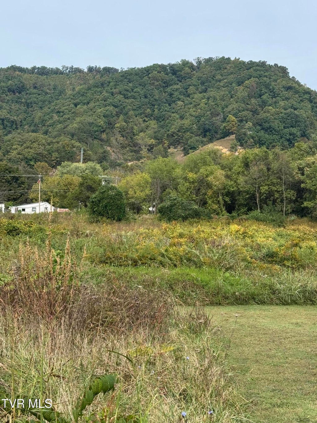 Photo of Tbd Main North Avenue, Erwin, TN 37650 (MLS # 10002044)