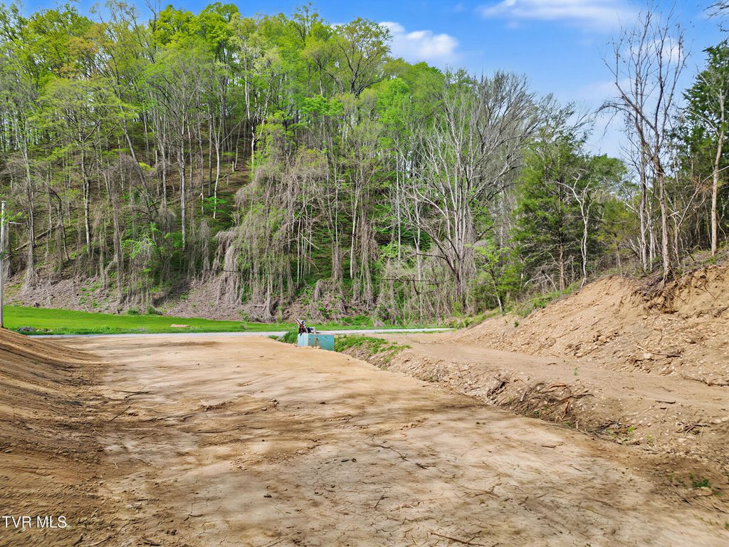 Photo of 2692 Bear Creek Road, Bybee, TN 37713 (MLS # 9993877)