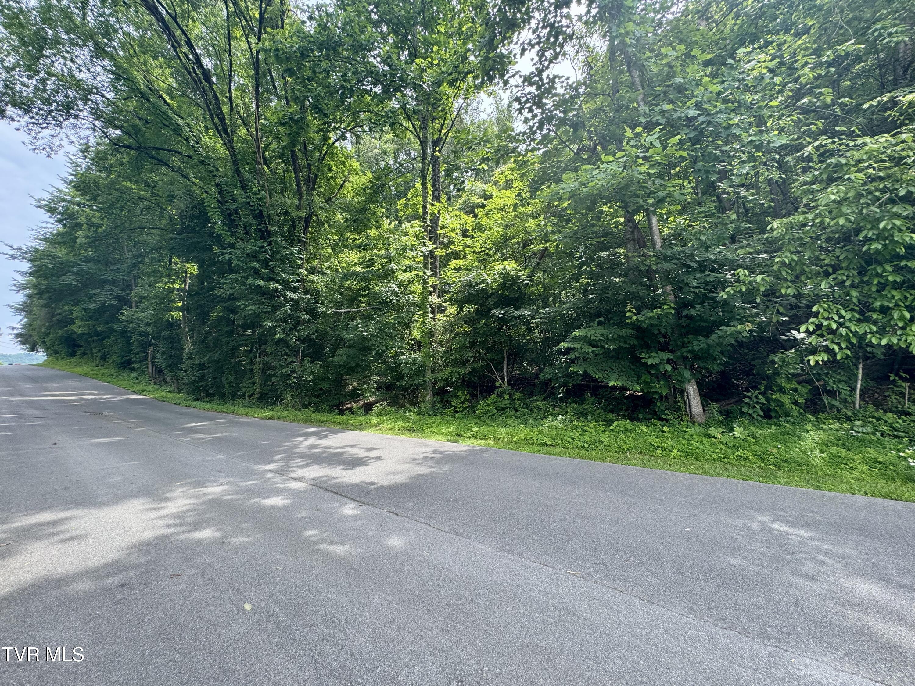 Lot 21 Country Drive, Kingsport, Tennessee image 4