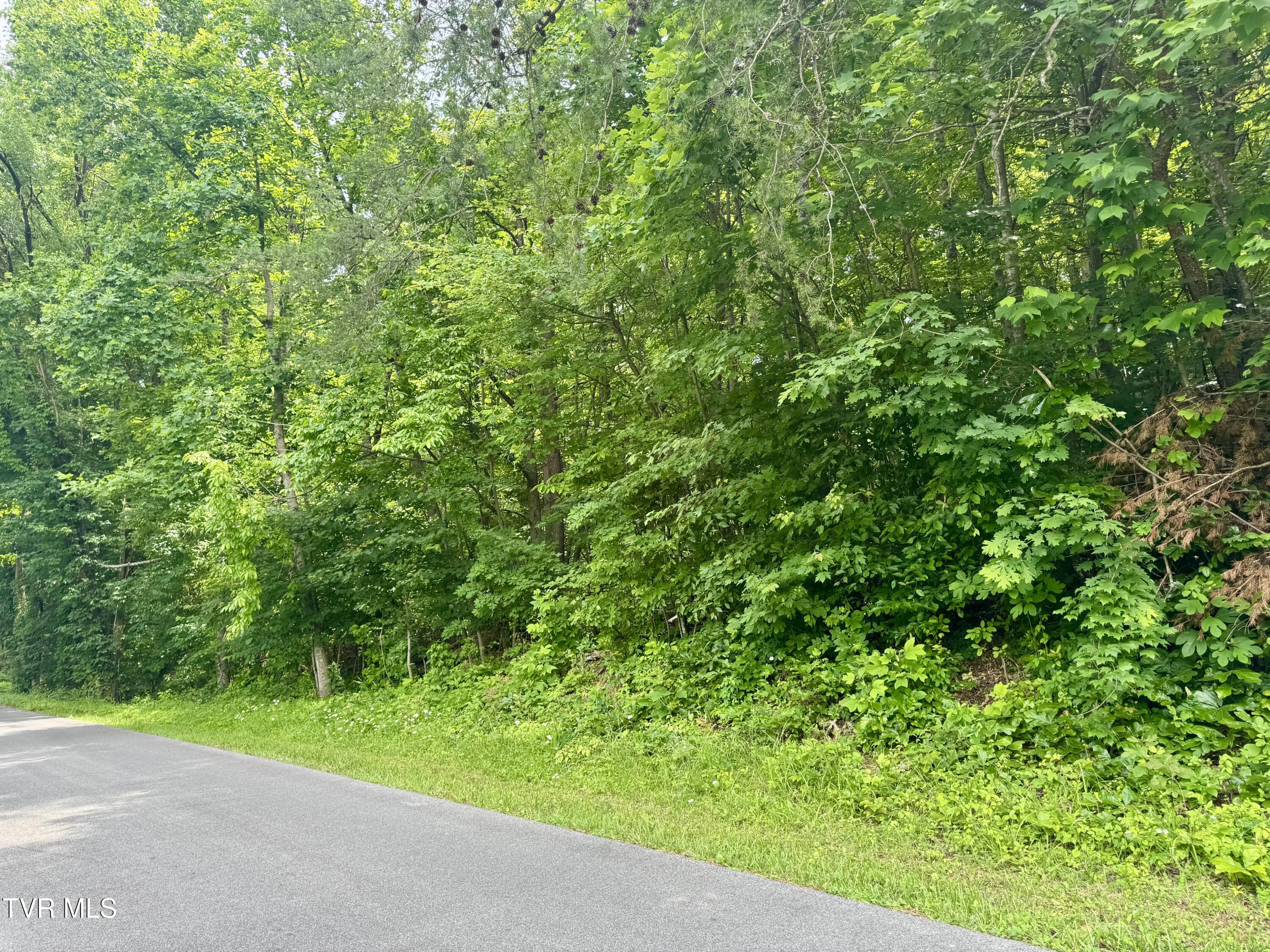 Lot 21 Country Drive, Kingsport, Tennessee image 2