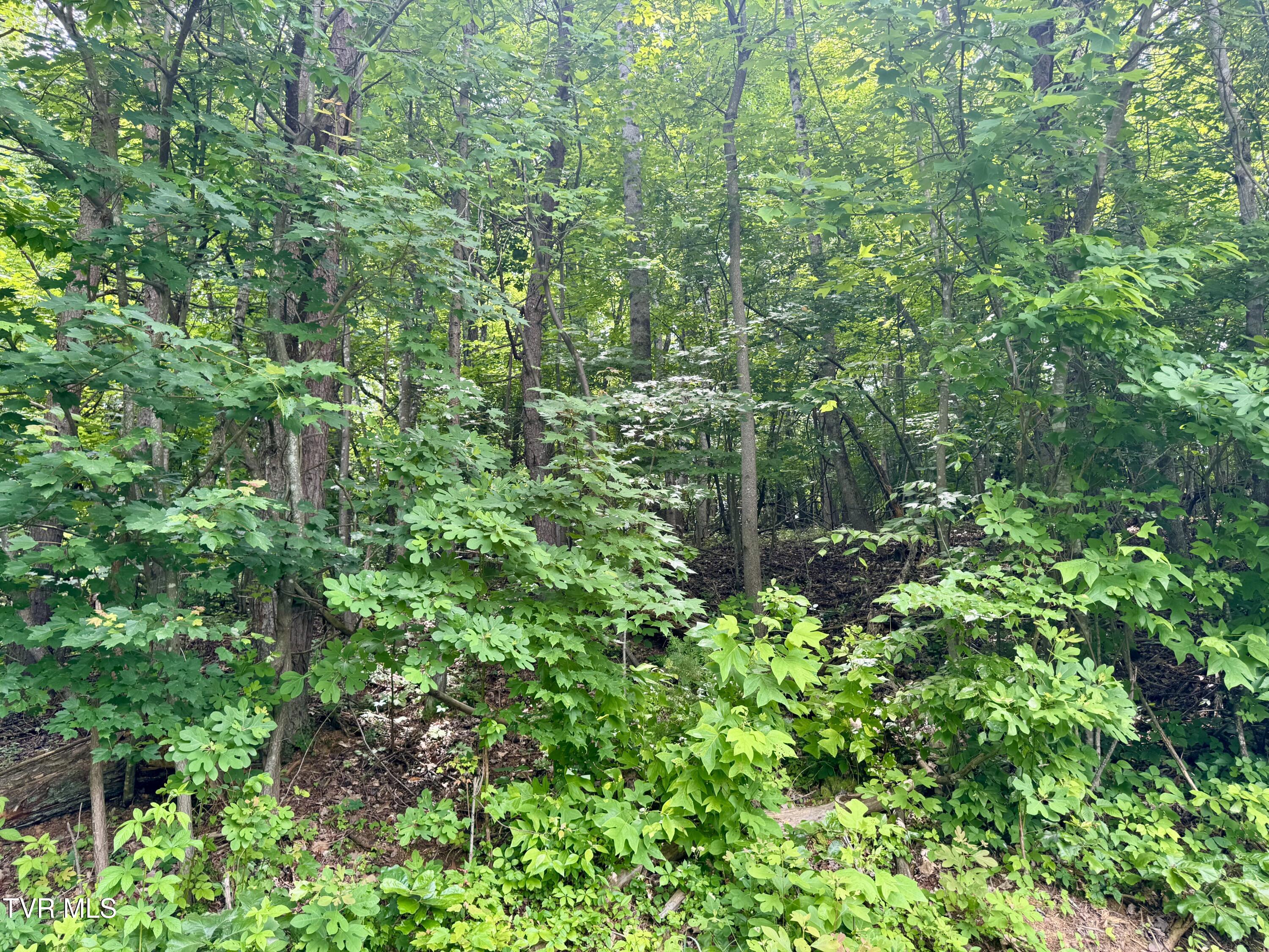 Lot 21 Country Drive, Kingsport, Tennessee image 3