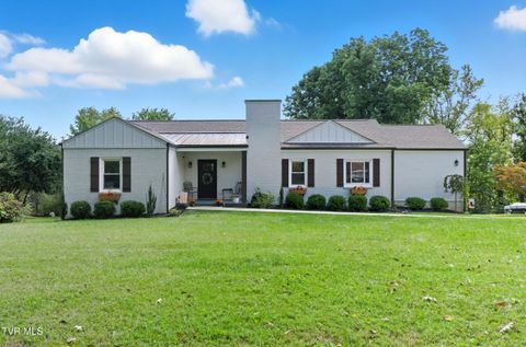 Photo of 4509 Old Stage Road, Kingsport, TN 37664 (MLS # 9989039)