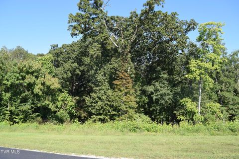 Vacant Land For Sale - 347 Water View Drive<br/> Roane County, Rockwood, TN 37854