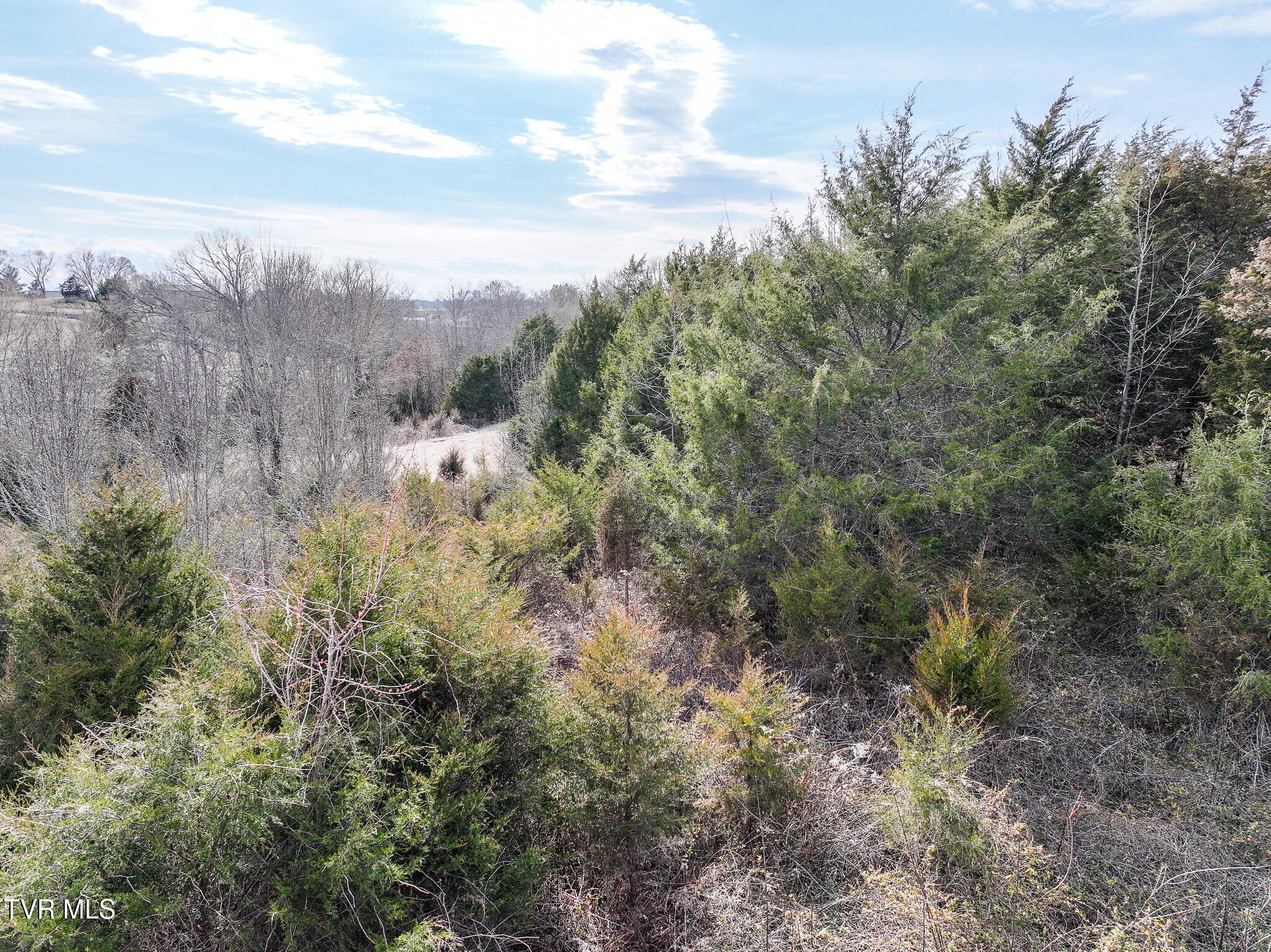 9 Ac Chuckey Highway, Chuckey, Tennessee image 28