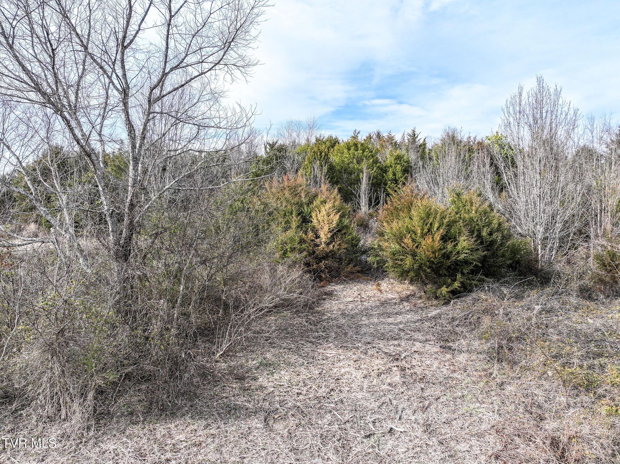 9 Ac Chuckey Highway, Chuckey, Tennessee image 24