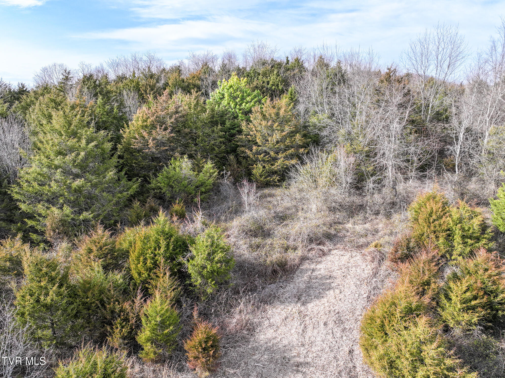 9 Ac Chuckey Highway, Chuckey, Tennessee image 27