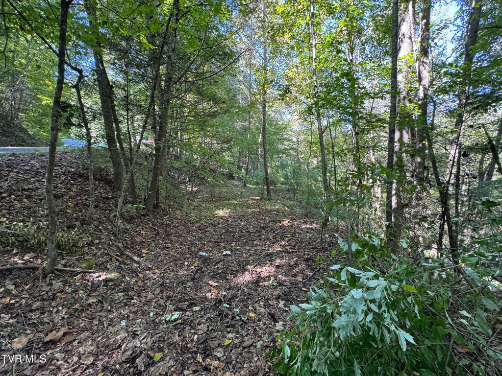Photo of Tbd Wolfpen, Clintwood, VA 24228 (MLS # 10001705)