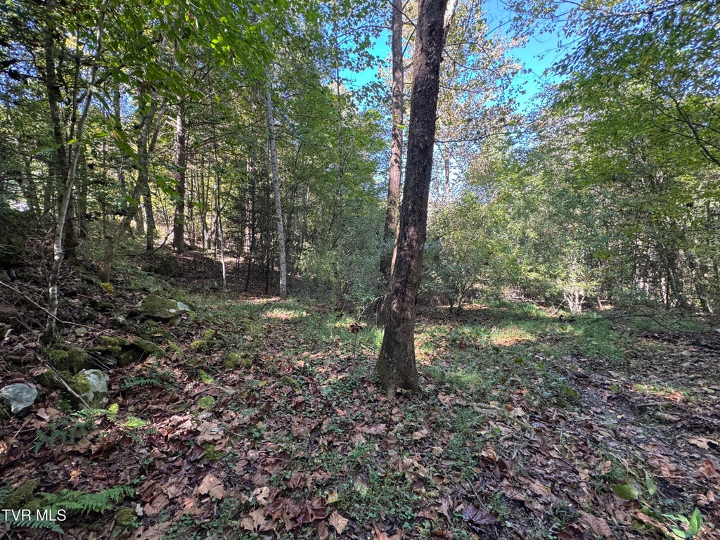Photo of Tbd Wolfpen, Clintwood, VA 24228 (MLS # 10001705)