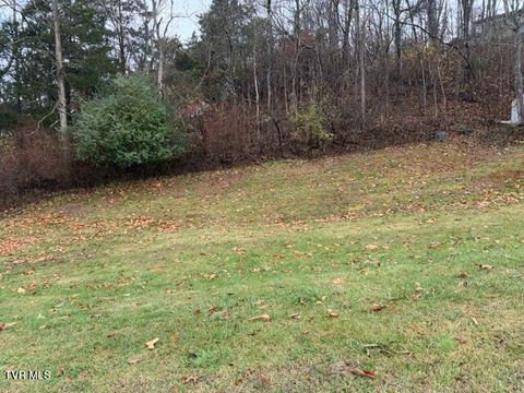 Vacant Land For Sale - TBD Shadow Hill Lane<br/> Bristol, VA 24201