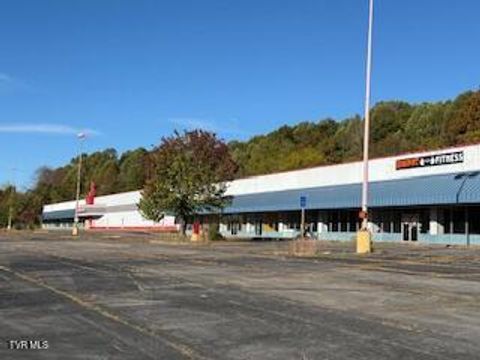 354 Shadowtown Road Blountville TN 37617