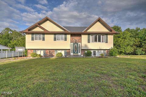 Photo of 2109 Faulk Lane, Kingsport, TN 37660 (MLS # 9995360)