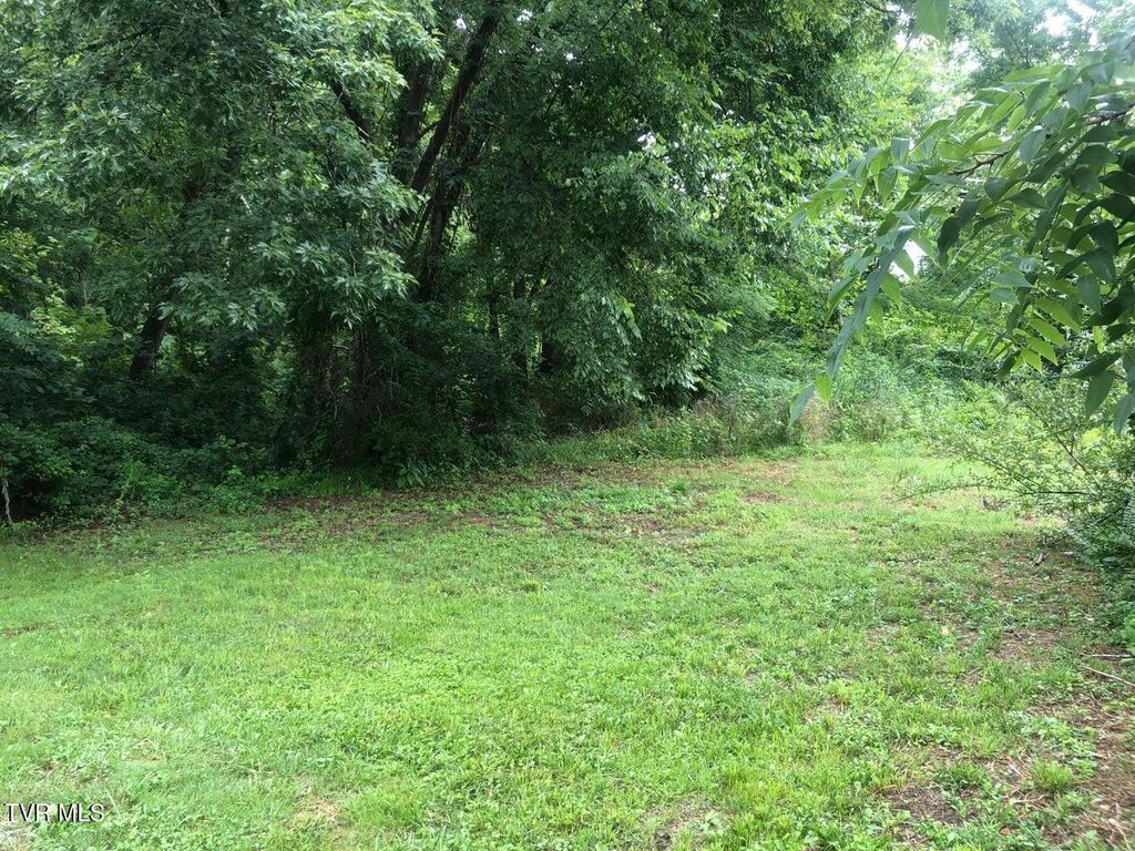 Photo of Tbd Hamblen Street, Big Stone Gap, VA 24219 (MLS # 9974778)