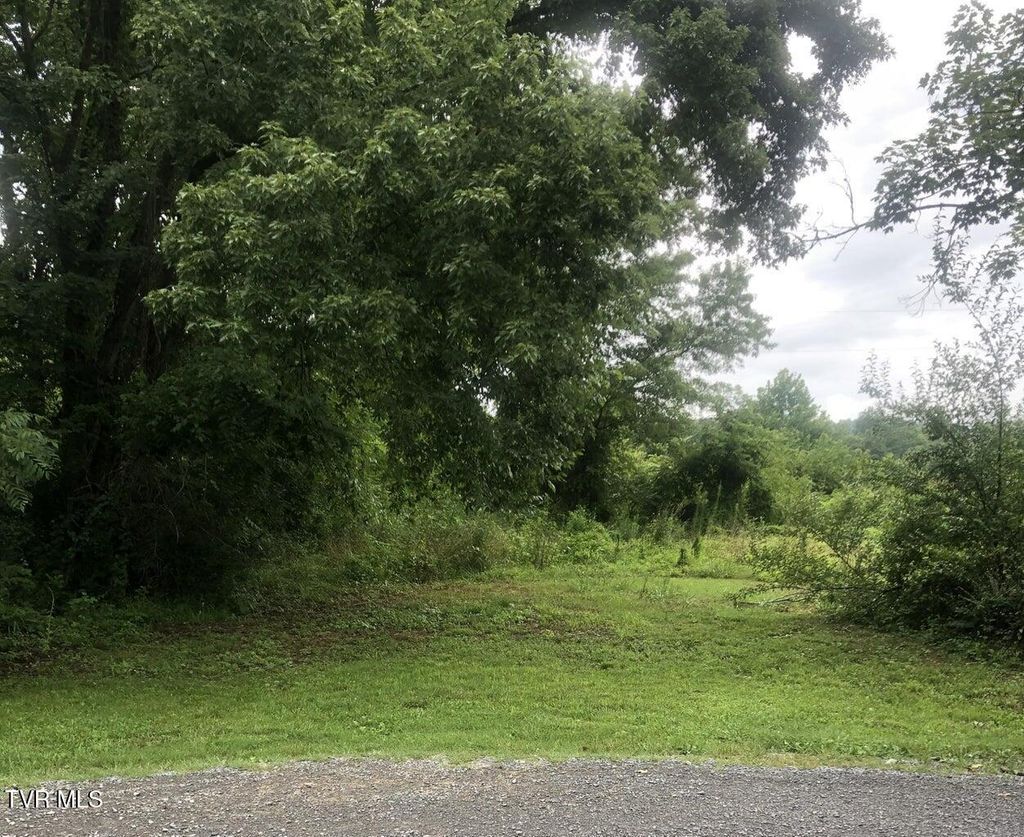 Photo of Tbd Hamblen Street, Big Stone Gap, VA 24219 (MLS # 9974778)