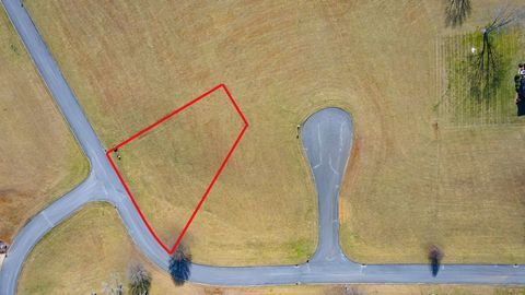 Vacant Land For Sale - LOT 61 Walnut Tree Drive<br/> Church Hill, TN 37642