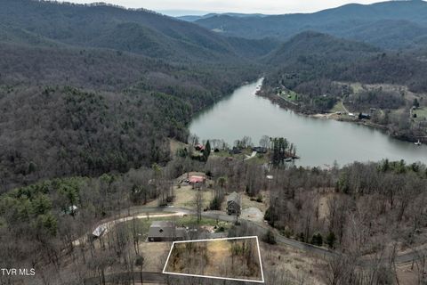 Vacant Land For Sale - TBD Lot 19 Mitchelle Arney Lane<br/> Johnson County, Butler, TN 37640